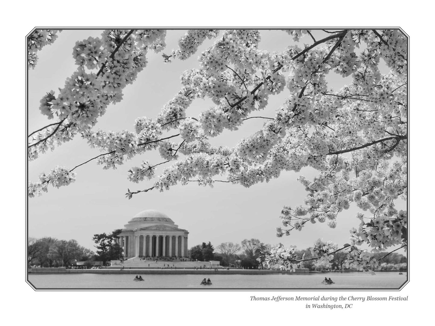 The Thomas Jefferson Notebook