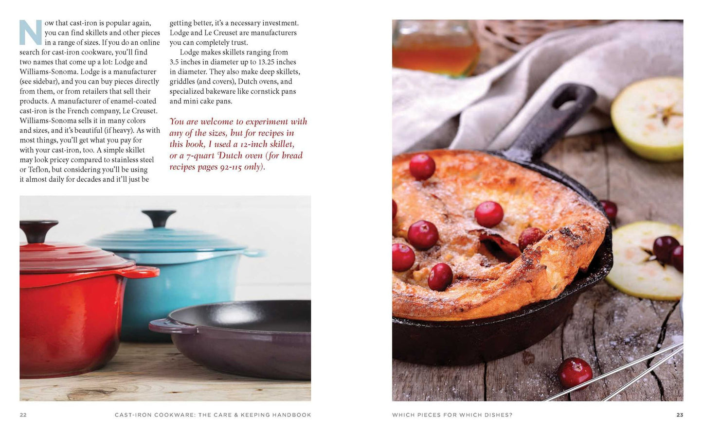 The Cast-Iron Cookware: The Care and Keeping Handbook: Seasoning, Cleaning, Refurbishing, Storing, and Cooking