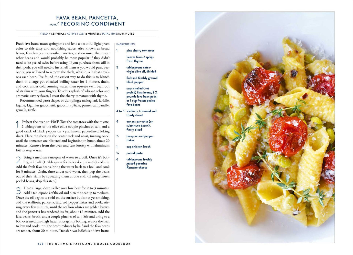 The Ultimate Pasta and Noodle Cookbook