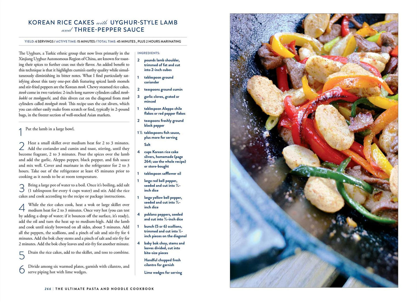 The Ultimate Pasta and Noodle Cookbook