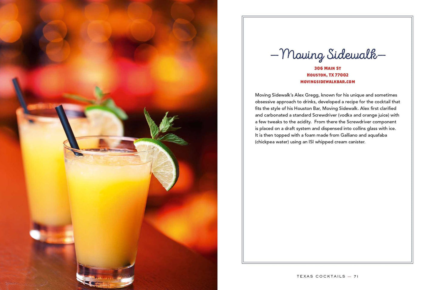 Texas Cocktails: An Elegant Collection of More Than 100 Recipes Inspired by the Lone Star State