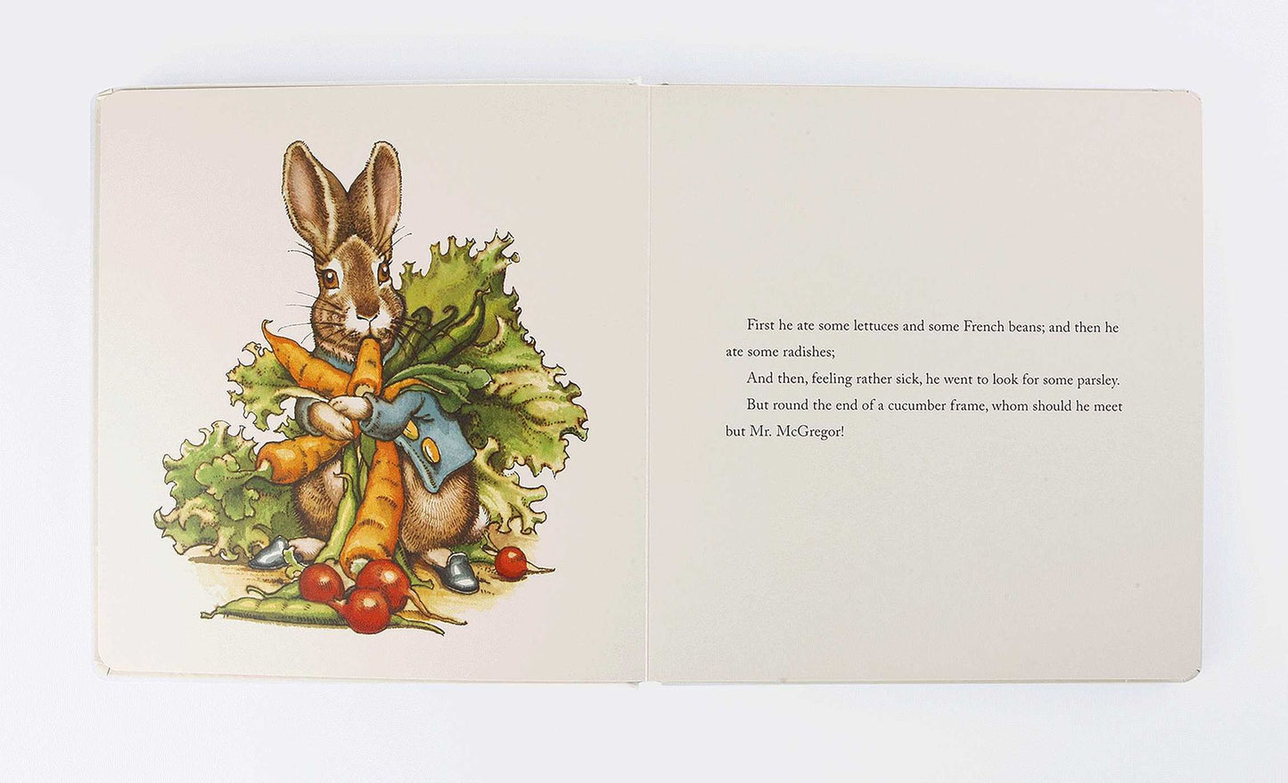 The Classic Tale of Peter Rabbit Oversized Padded Board Book: The Classic Edition