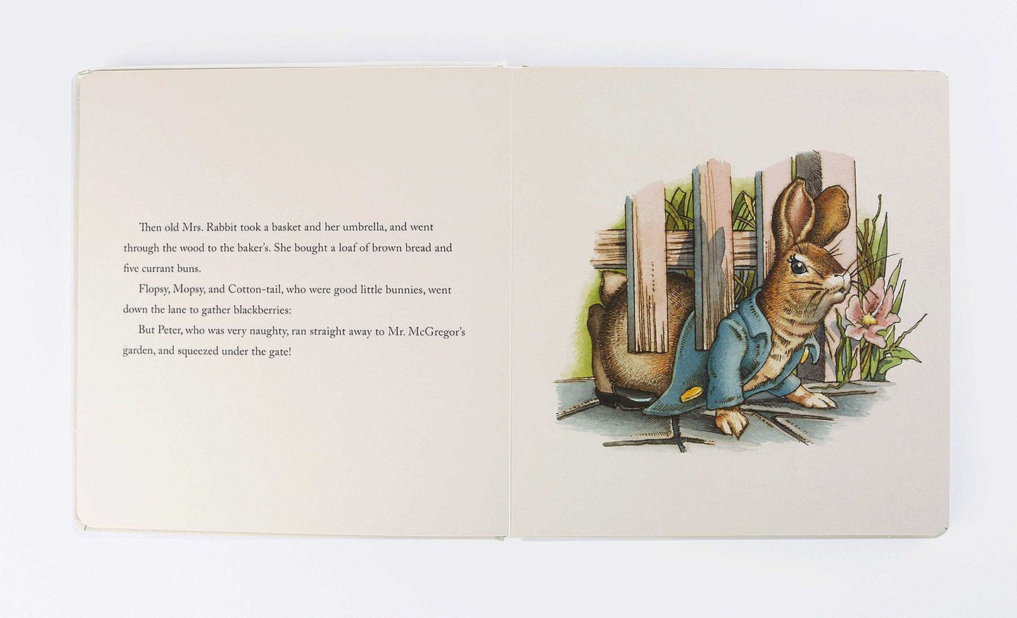 The Classic Tale of Peter Rabbit Oversized Padded Board Book: The Classic Edition