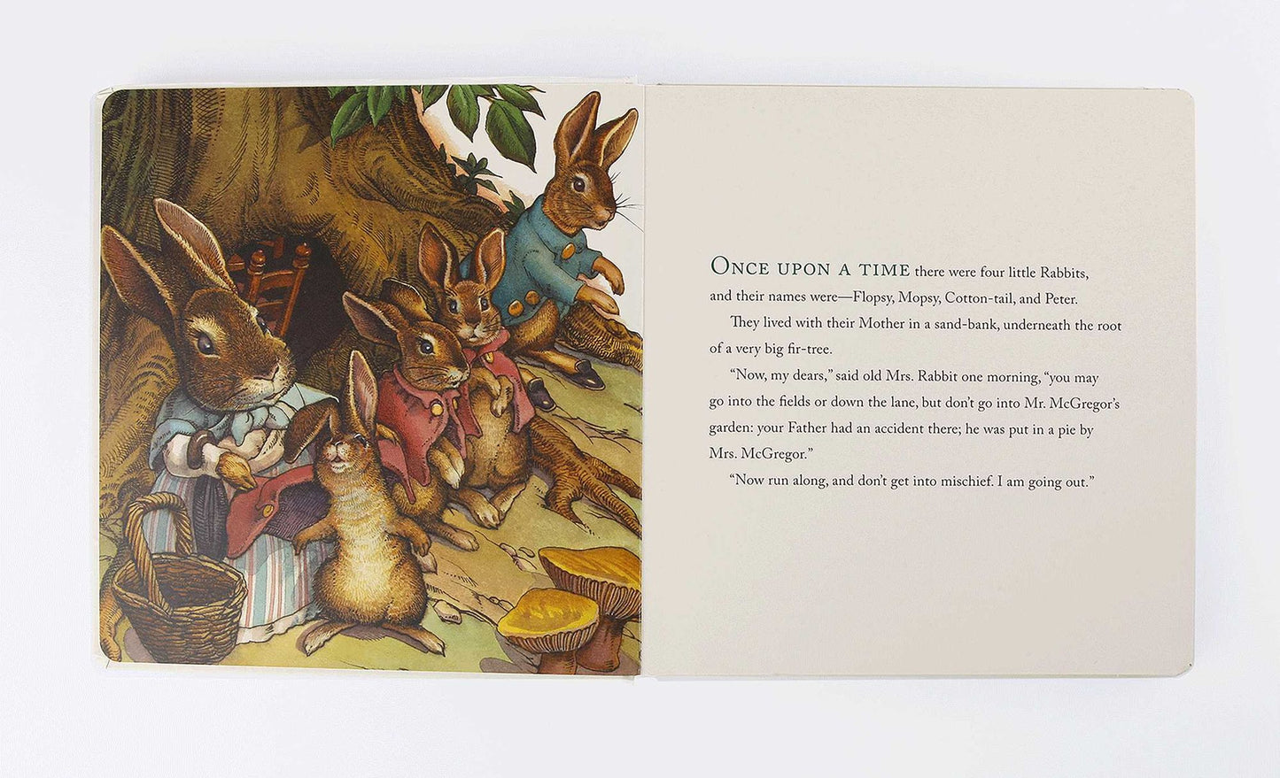 The Classic Tale of Peter Rabbit Oversized Padded Board Book: The Classic Edition