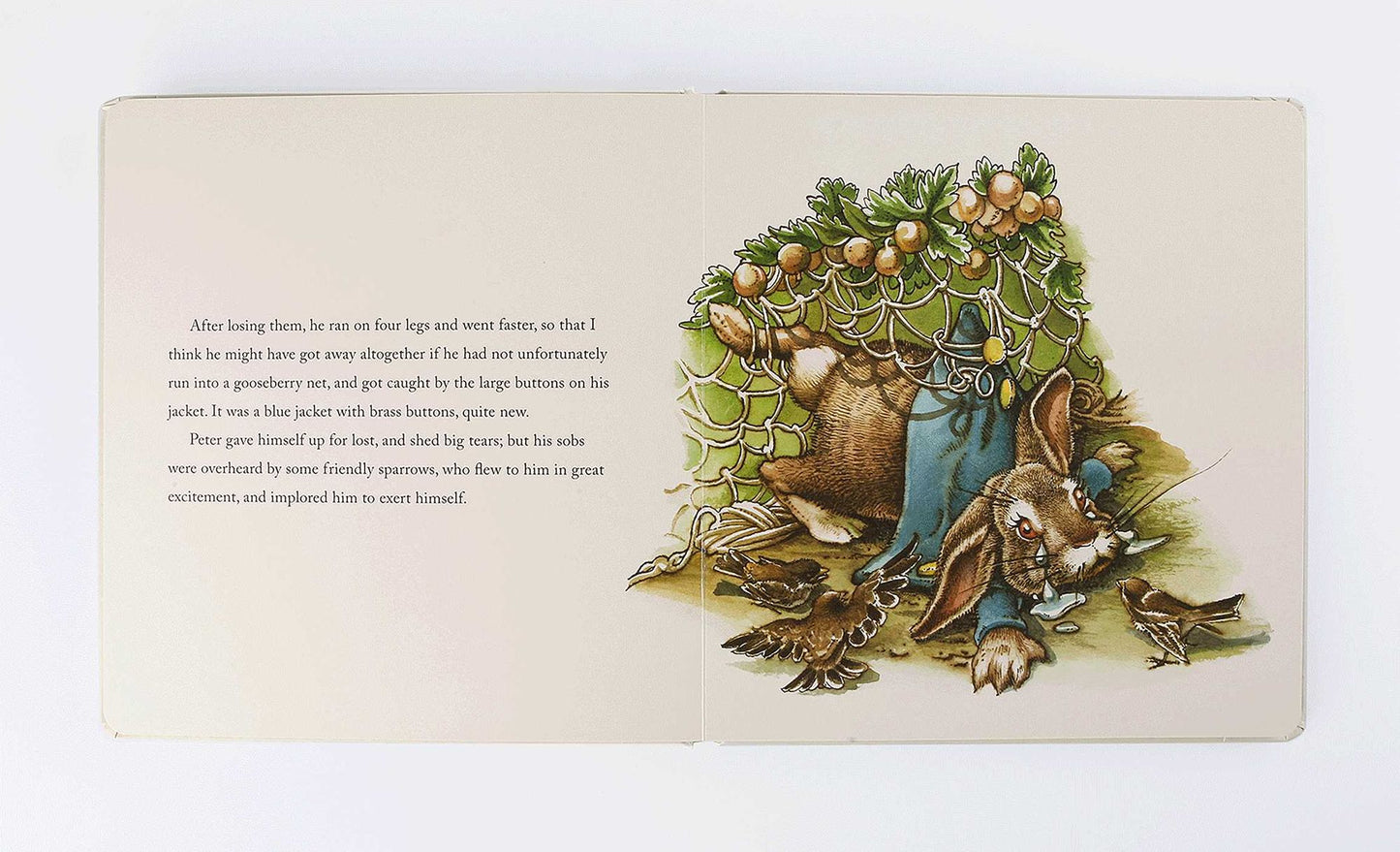The Classic Tale of Peter Rabbit Oversized Padded Board Book: The Classic Edition