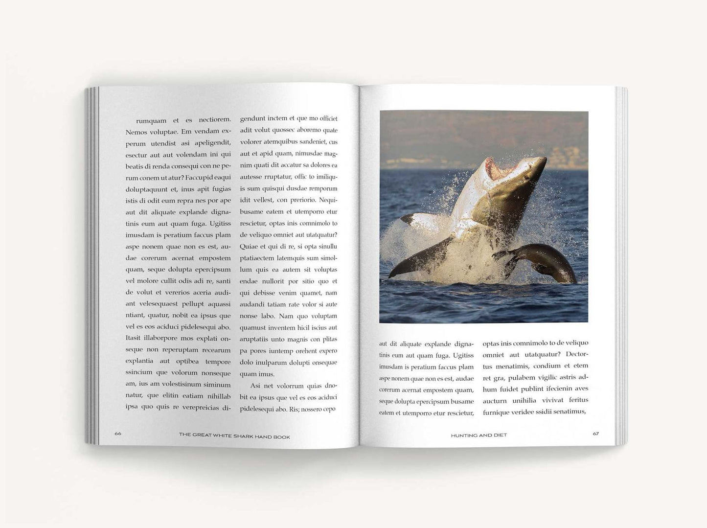 The Great White Handbook