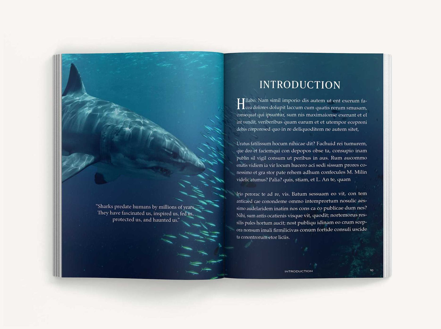 The Great White Handbook
