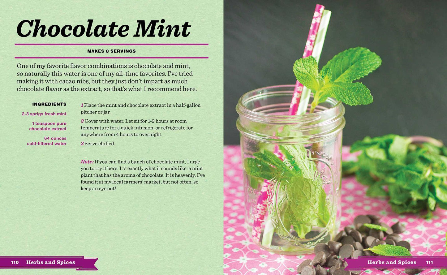 Infused Water and Ice