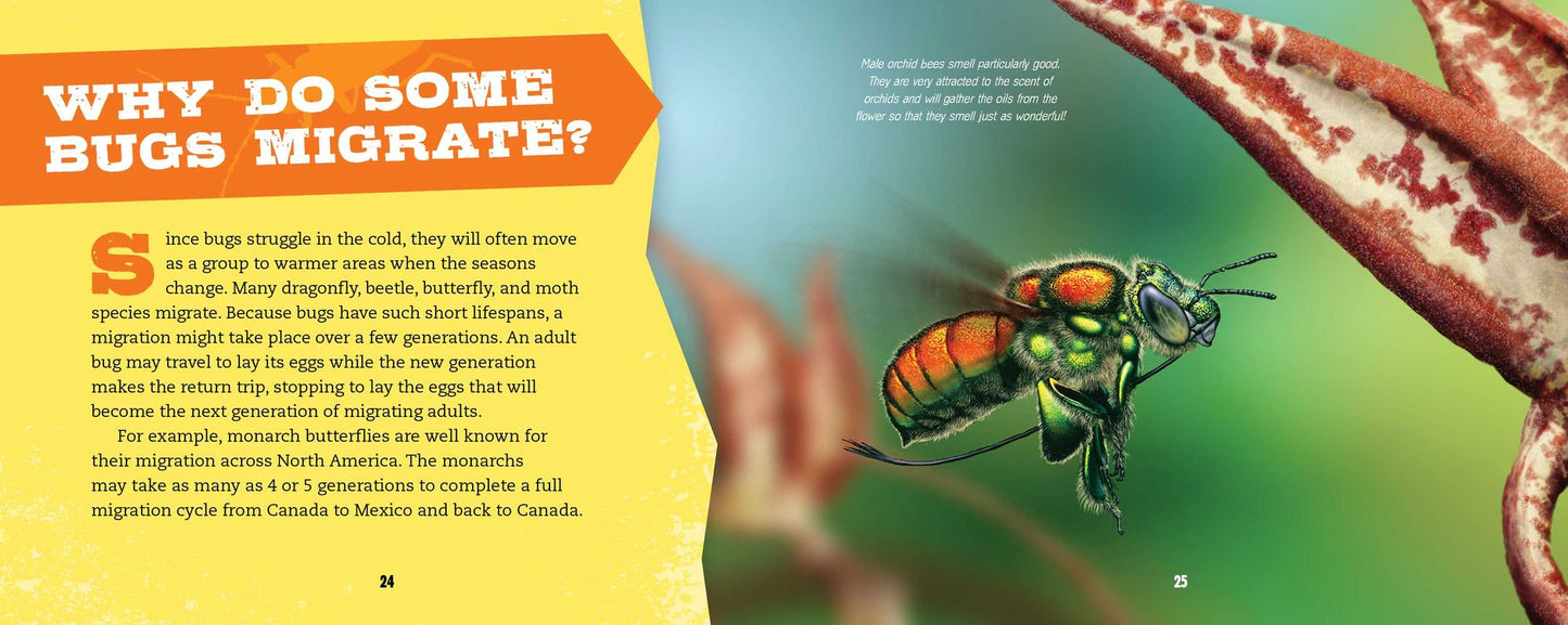 The Bug Handbook