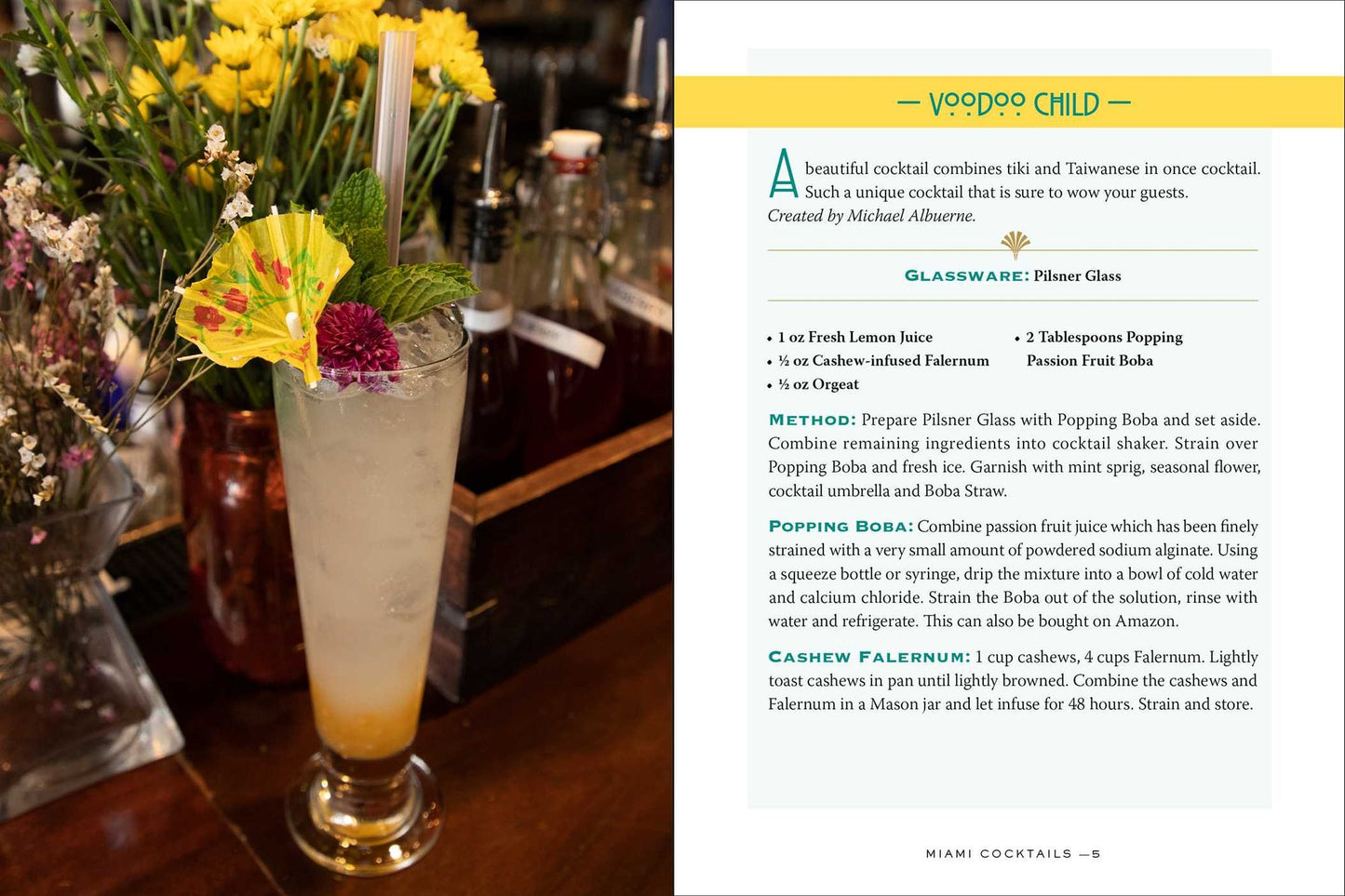 Miami Cocktails: An Elegant Collection of Over 100 Recipes Inspired by the Magic City