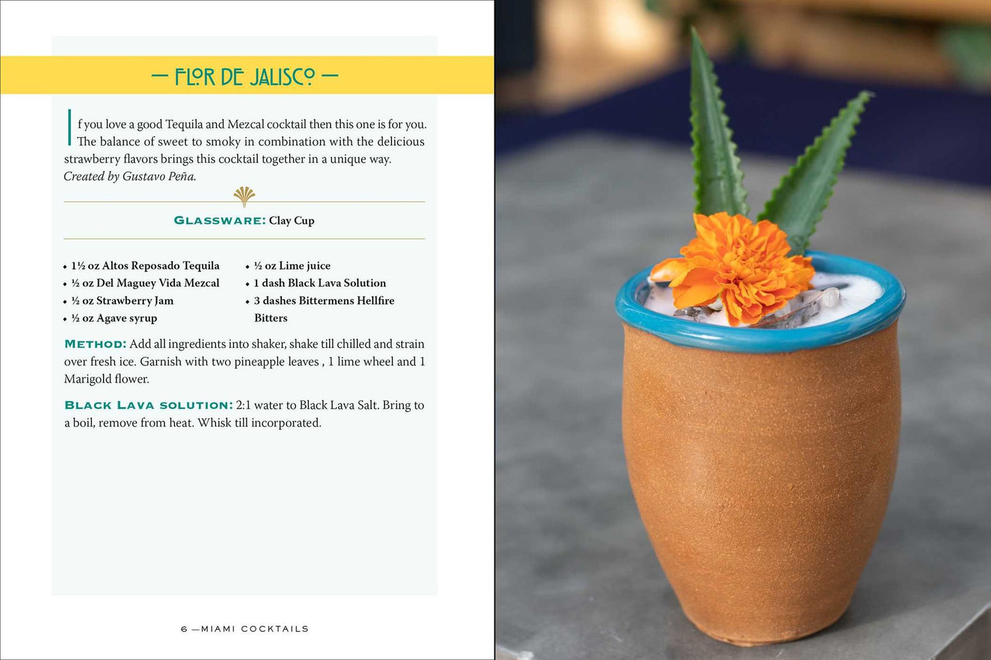 Miami Cocktails: An Elegant Collection of Over 100 Recipes Inspired by the Magic City