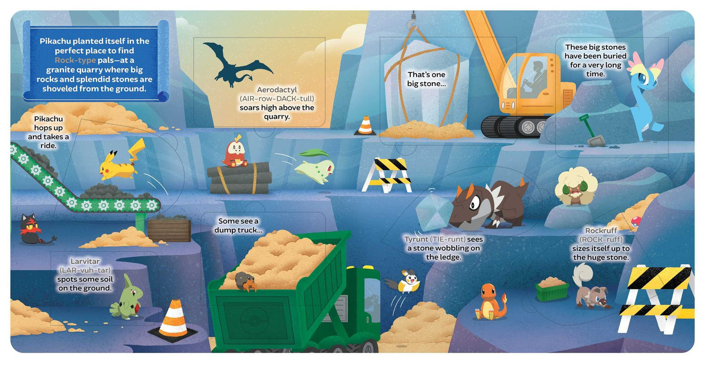 Pokï¿½mon Primers: Rock Types Book