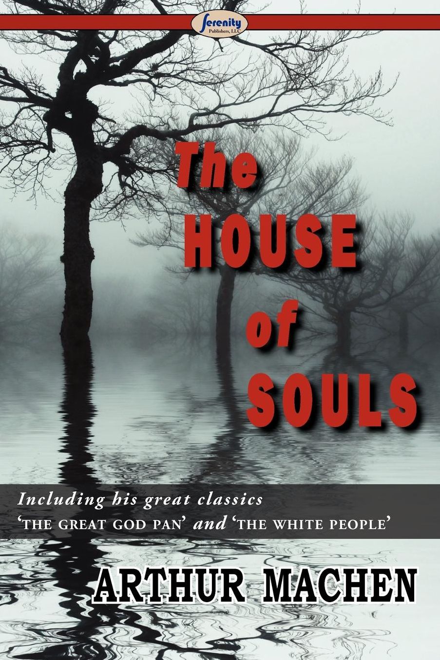 The House Of Souls