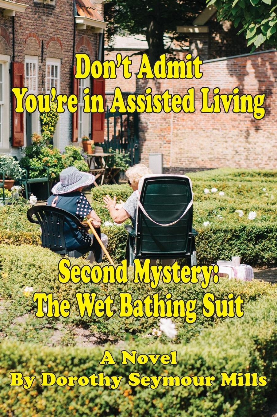 Don't Admit You're in Assisted Living: Mystery # 2 the Wet Bathing Suit