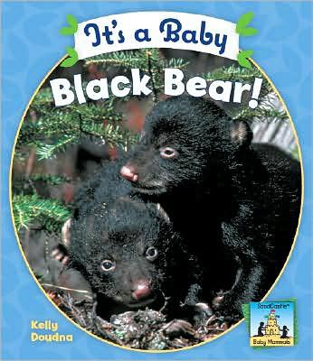 It's a Baby Black Bear! (Baby Mammals Series)