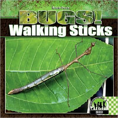 Walking Sticks