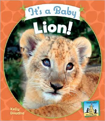 It's a Baby Lion!