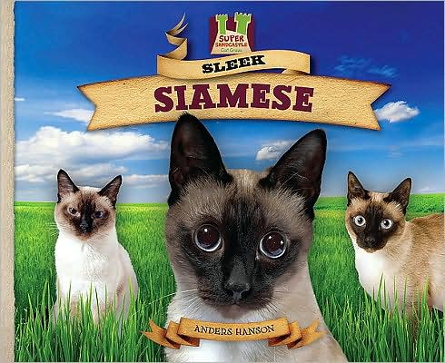 Sleek Siamese