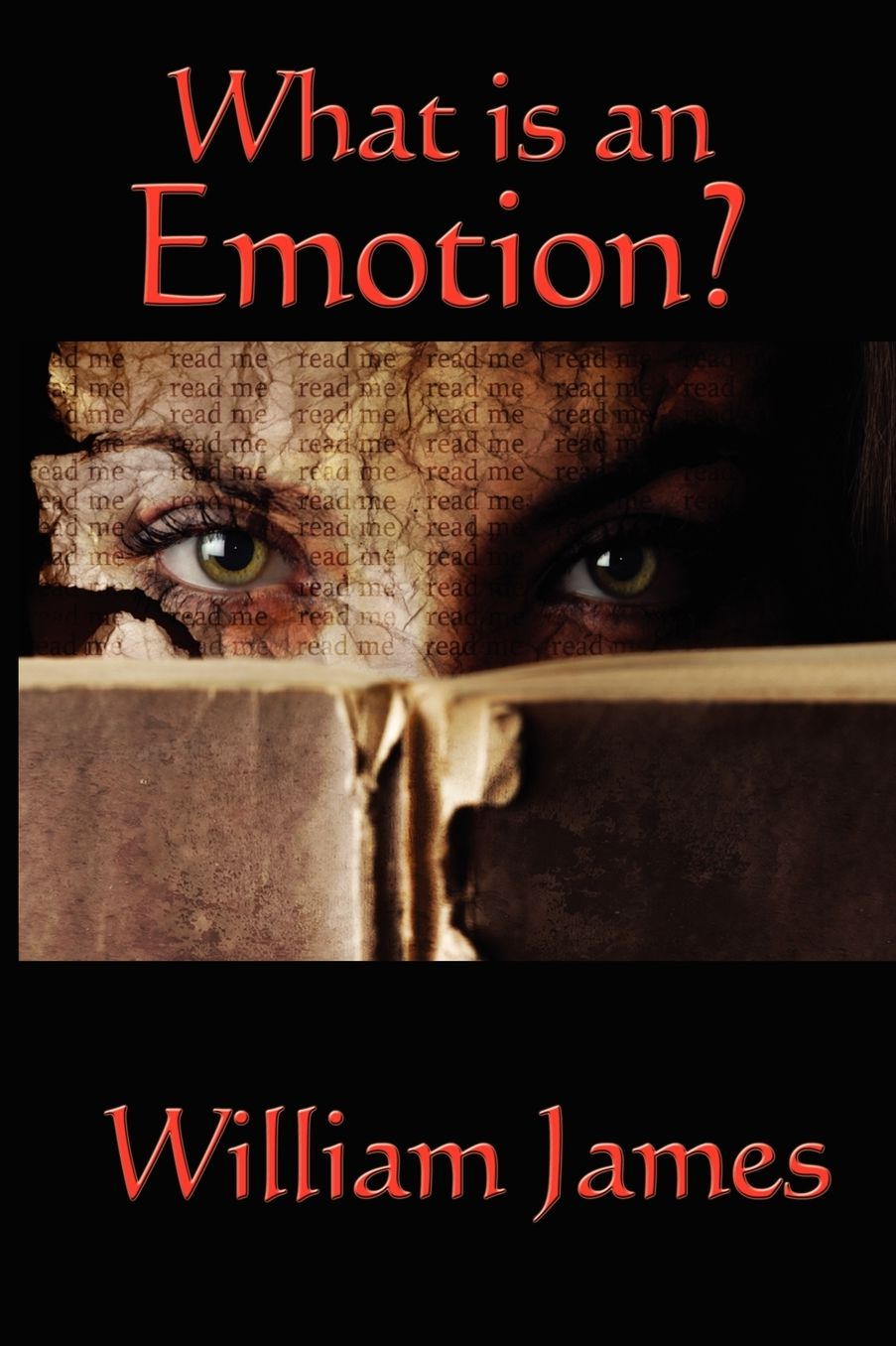 What Is an Emotion?