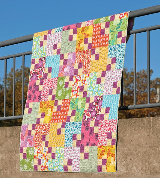 Skip the Borders: Easy Patterns for Modern Quilts