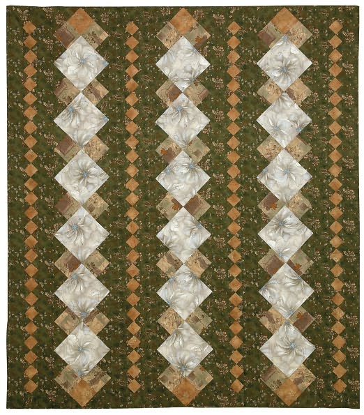Eye-Catching Quilts: 16 Designs from the Experts at Quiltmaker Magazine
