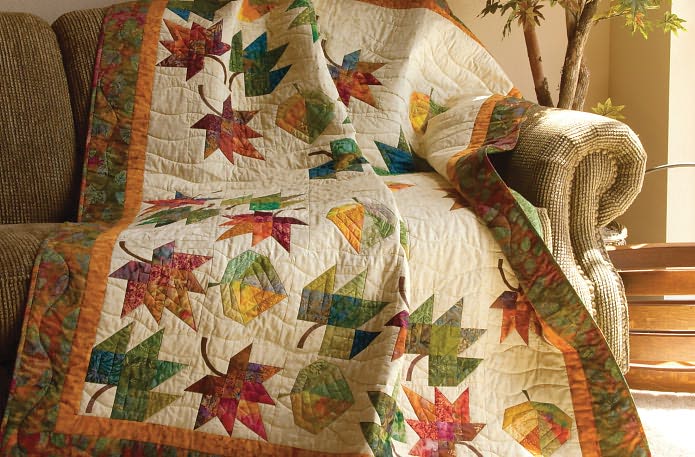 Eye-Catching Quilts: 16 Designs from the Experts at Quiltmaker Magazine