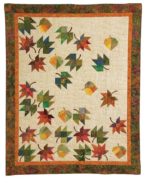 Eye-Catching Quilts: 16 Designs from the Experts at Quiltmaker Magazine