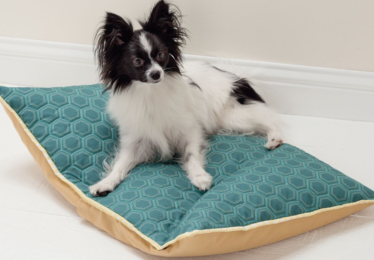 Free-Motion Quilting for Beginners: And Those Who Think They Can't