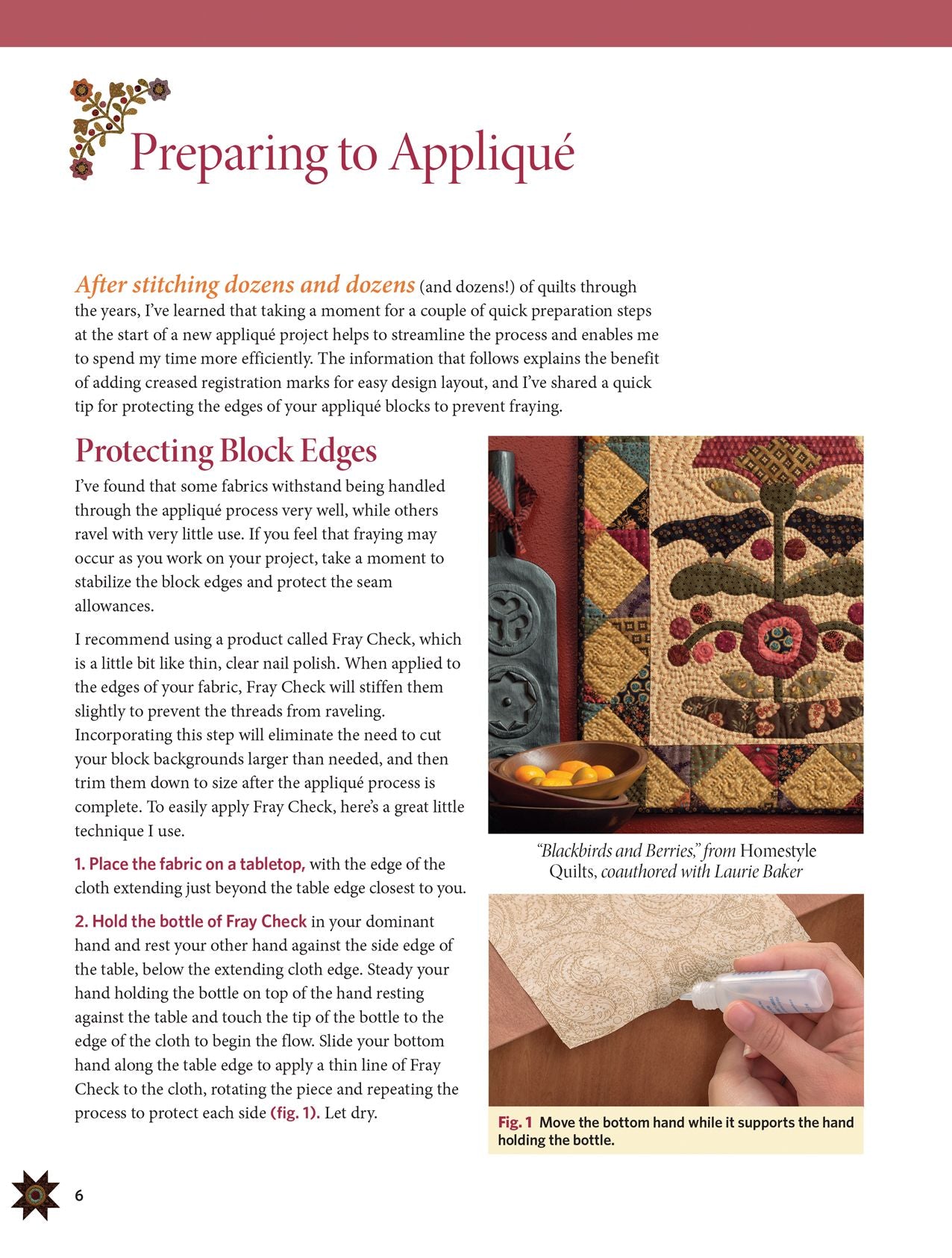 Simple Applique: Approachable Techniques, Easy Methods, Beautiful Results!