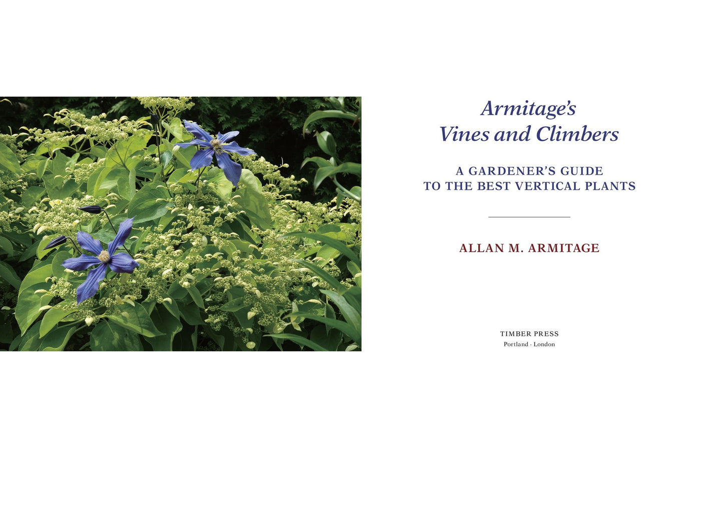 Armitage's Vines and Climbers: A Gardener's Guide to the Best Vertical Plants