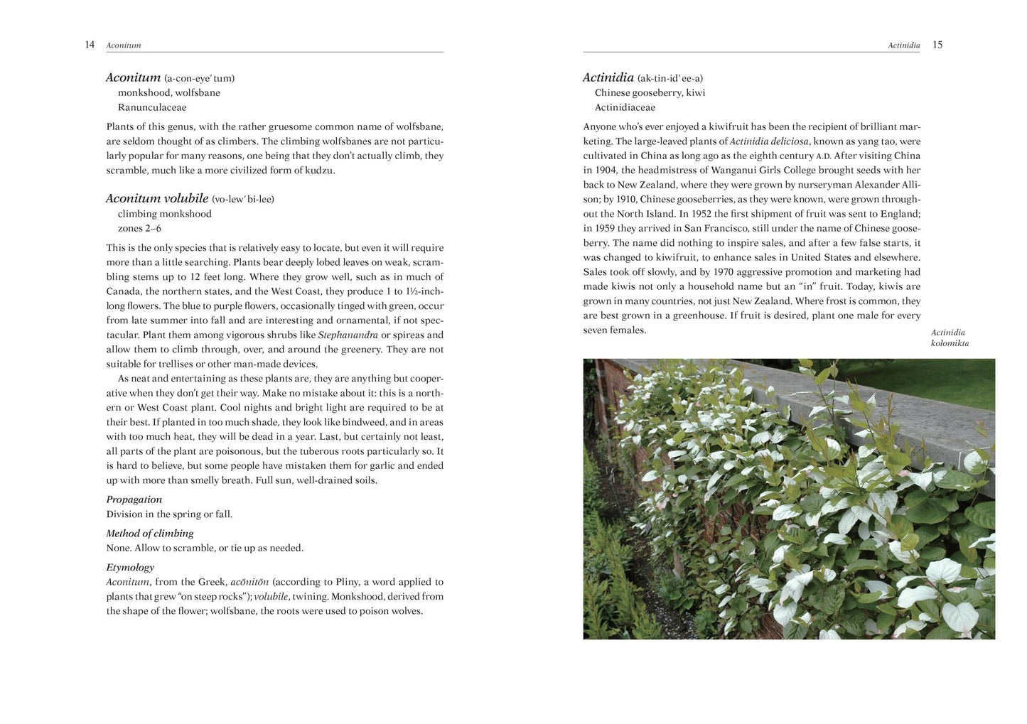 Armitage's Vines and Climbers: A Gardener's Guide to the Best Vertical Plants