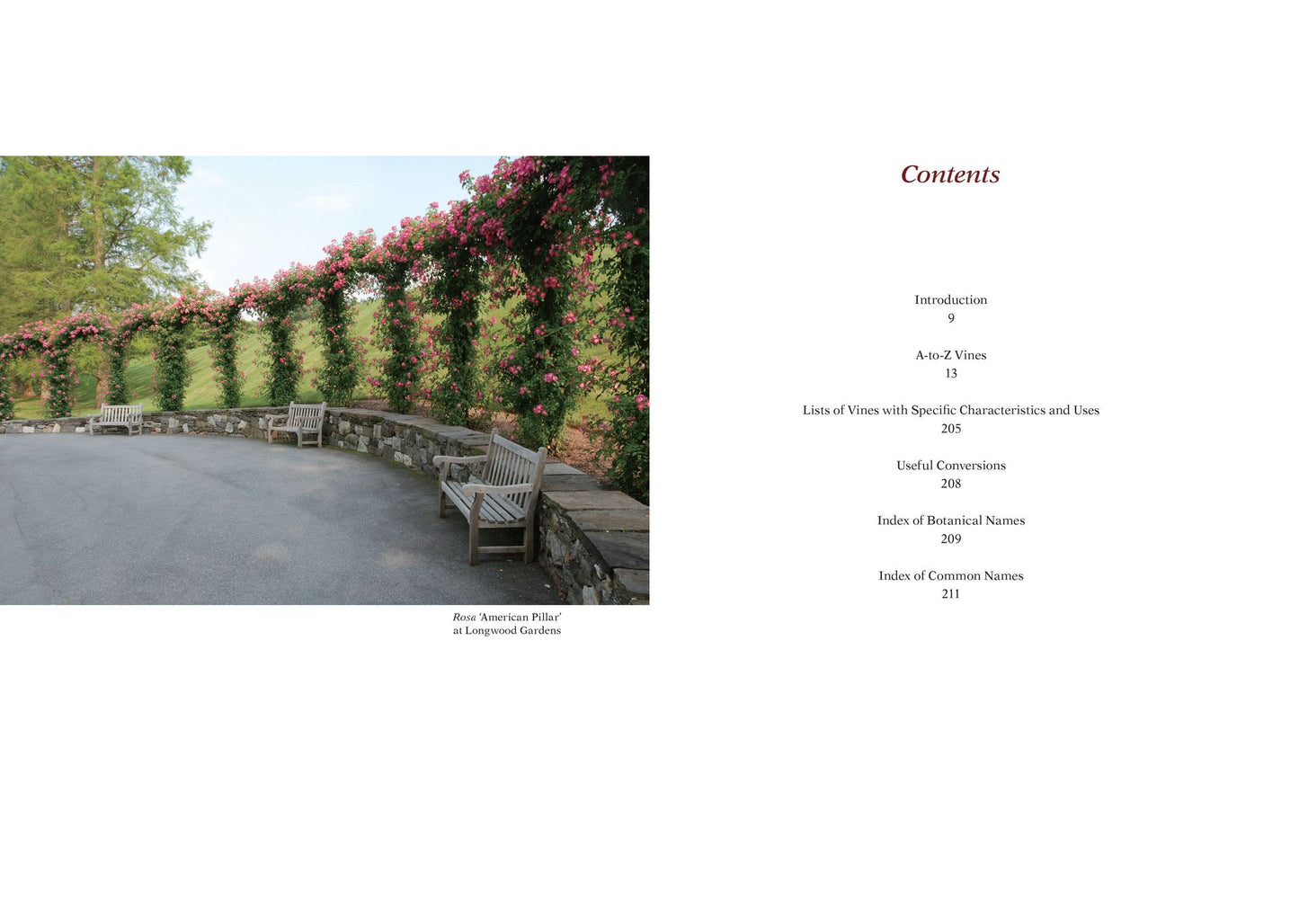 Armitage's Vines and Climbers: A Gardener's Guide to the Best Vertical Plants