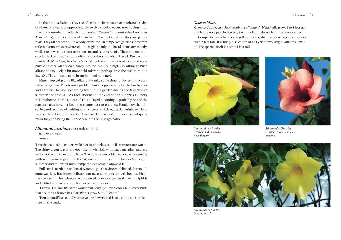 Armitage's Vines and Climbers: A Gardener's Guide to the Best Vertical Plants