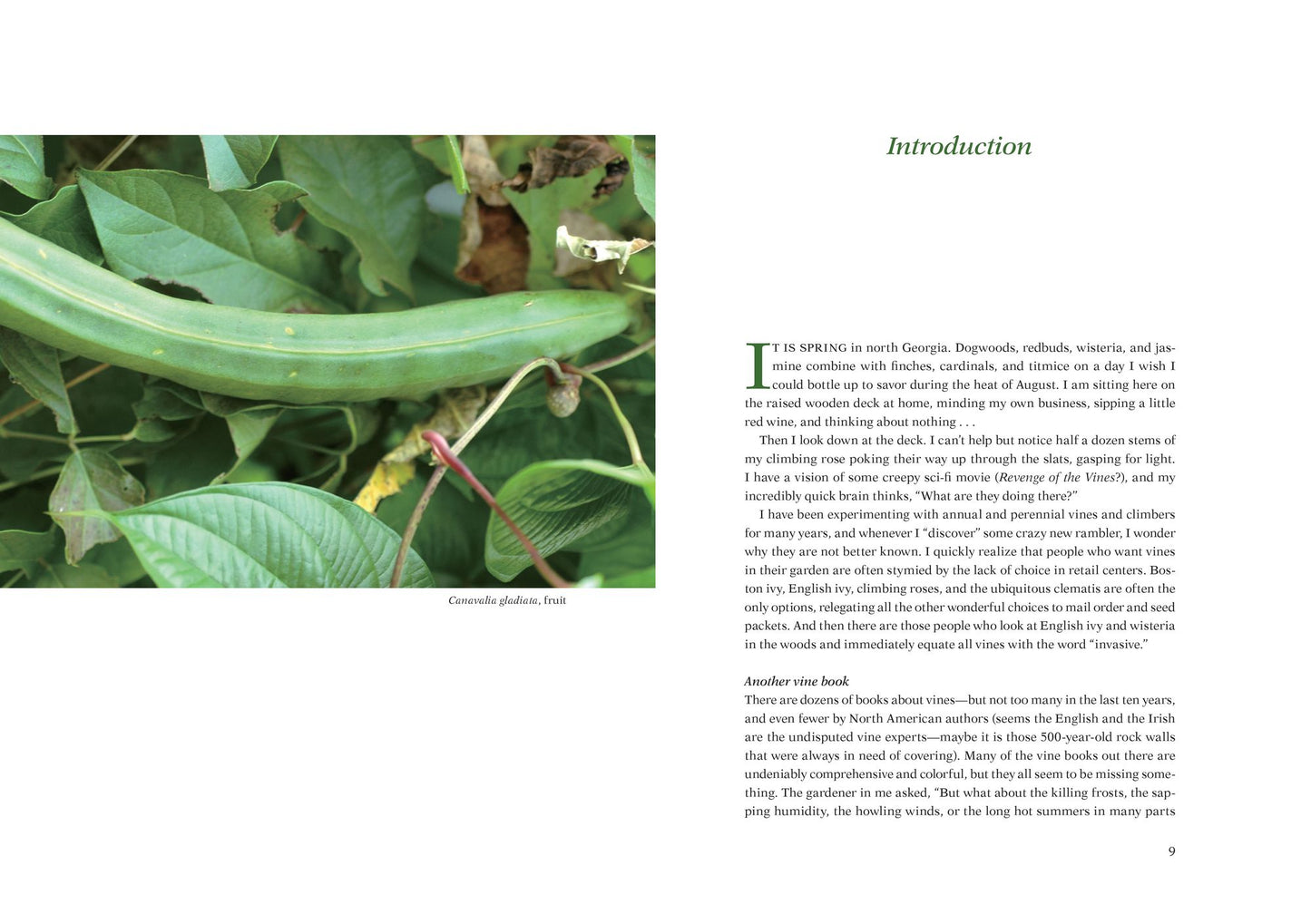 Armitage's Vines and Climbers: A Gardener's Guide to the Best Vertical Plants