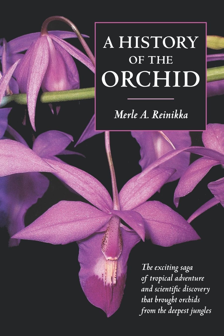 A History Of The Orchid