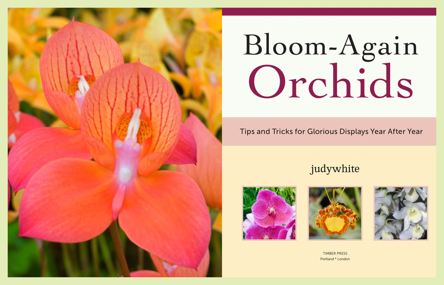 Bloom-Again Orchids: 50 Easy-Care Orchids that Flower Again and Again and Again