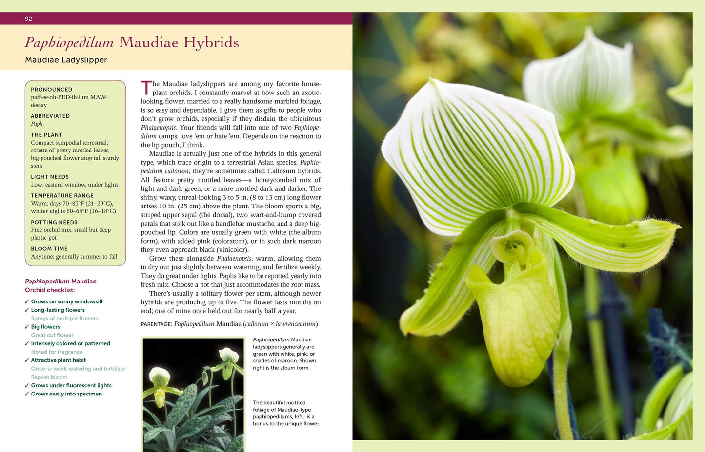 Bloom-Again Orchids: 50 Easy-Care Orchids that Flower Again and Again and Again