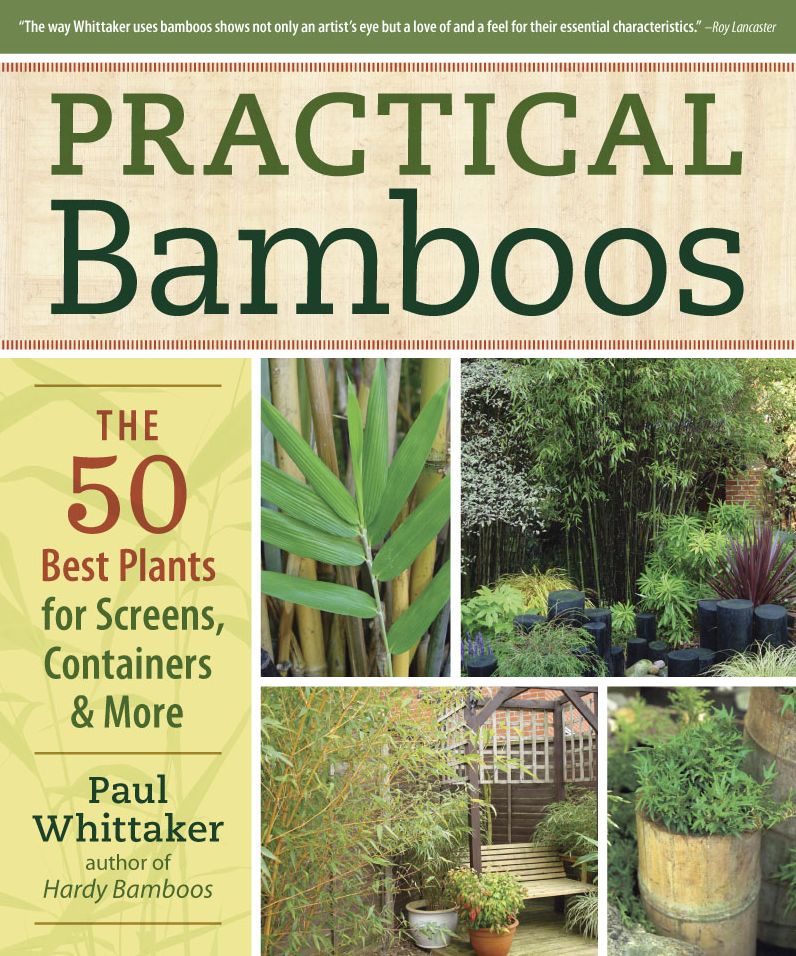 Practical Bamboos: The 50 Best Plants for Screens, Containers and More