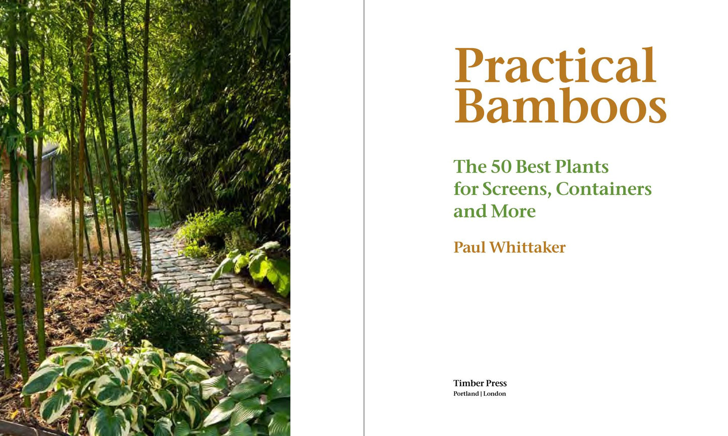 Practical Bamboos: The 50 Best Plants for Screens, Containers and More