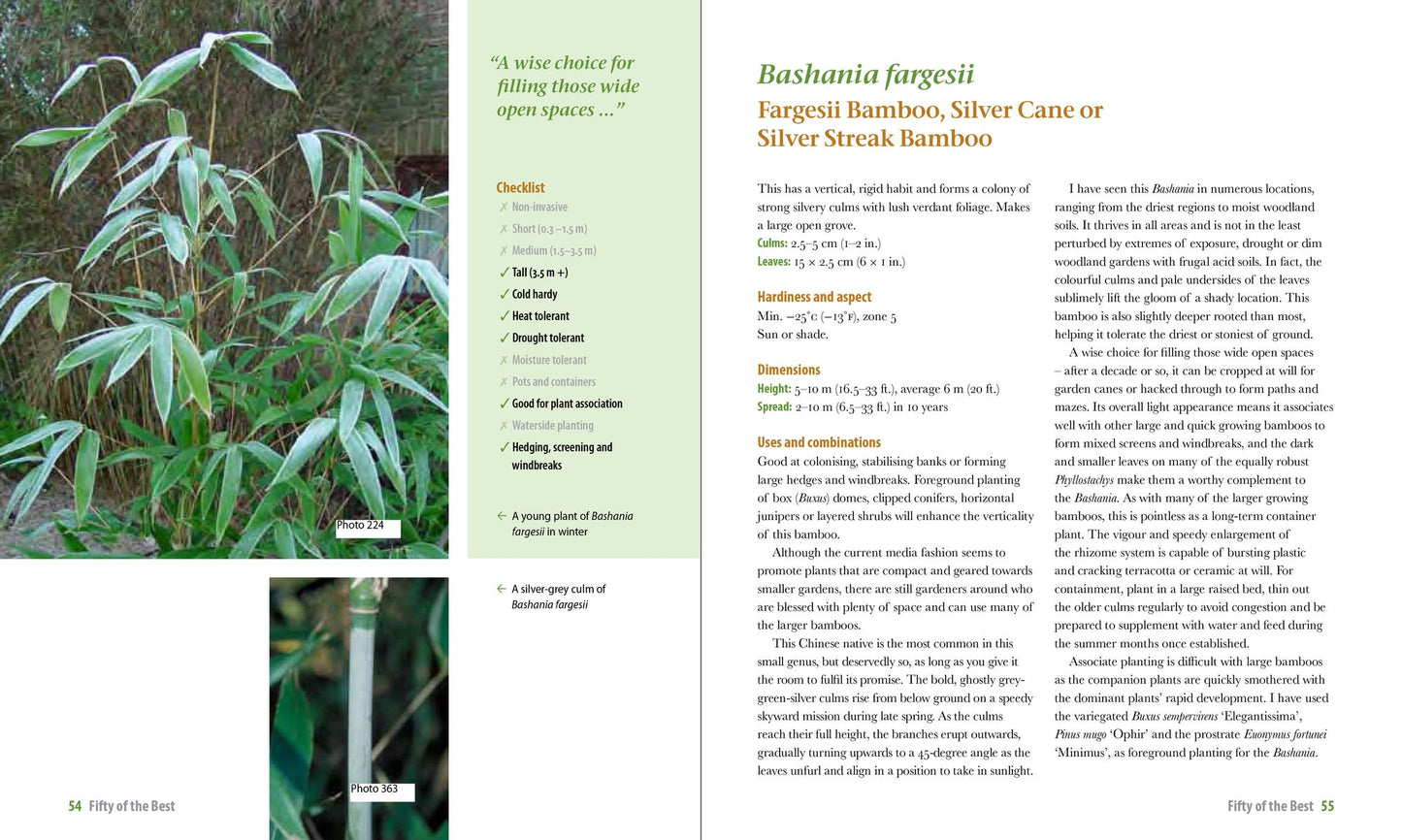 Practical Bamboos: The 50 Best Plants for Screens, Containers and More