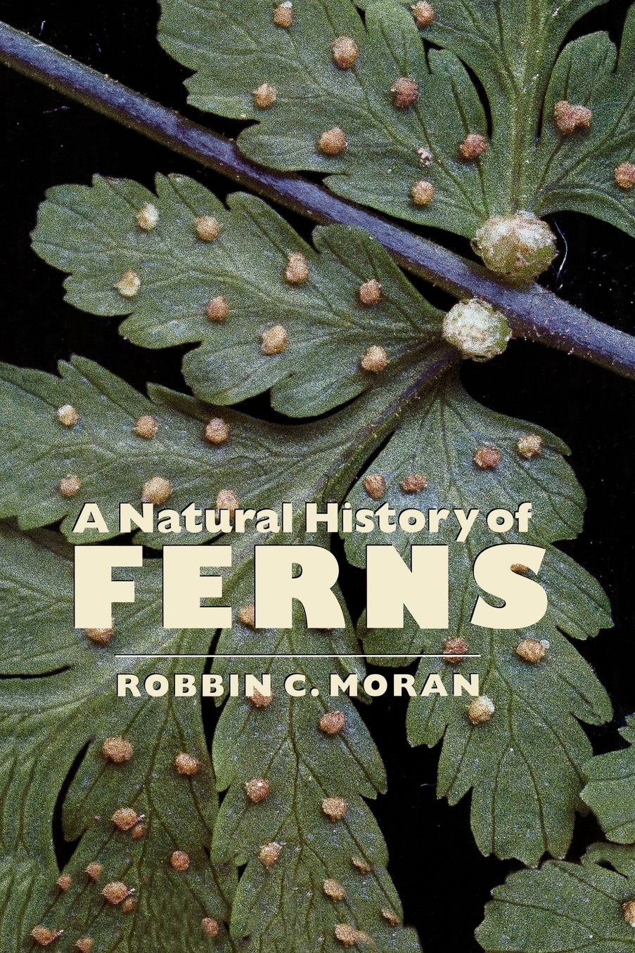 A Natural History Of Ferns
