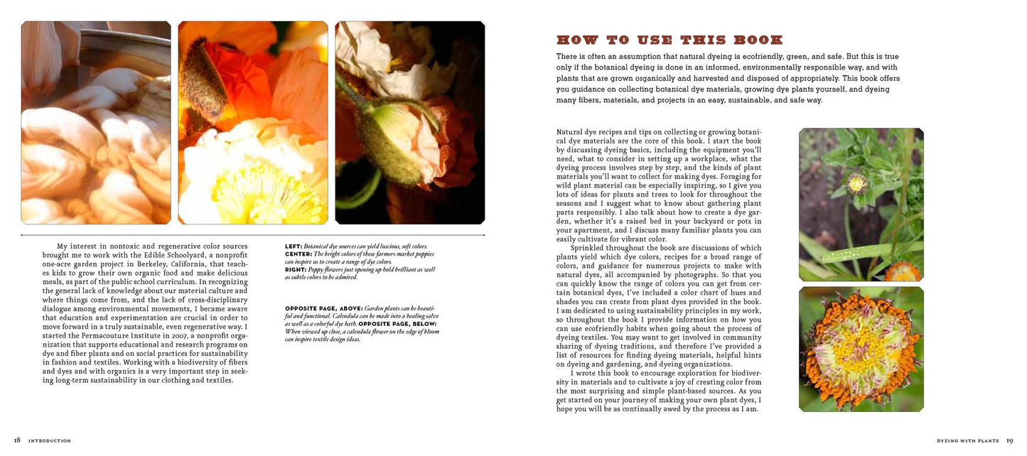 The Handbook of Natural Plant Dyes: Personalize Your Craft with Organic Colors from Acorns, Blackberries, Coffee, and Other Everyday Ingredients