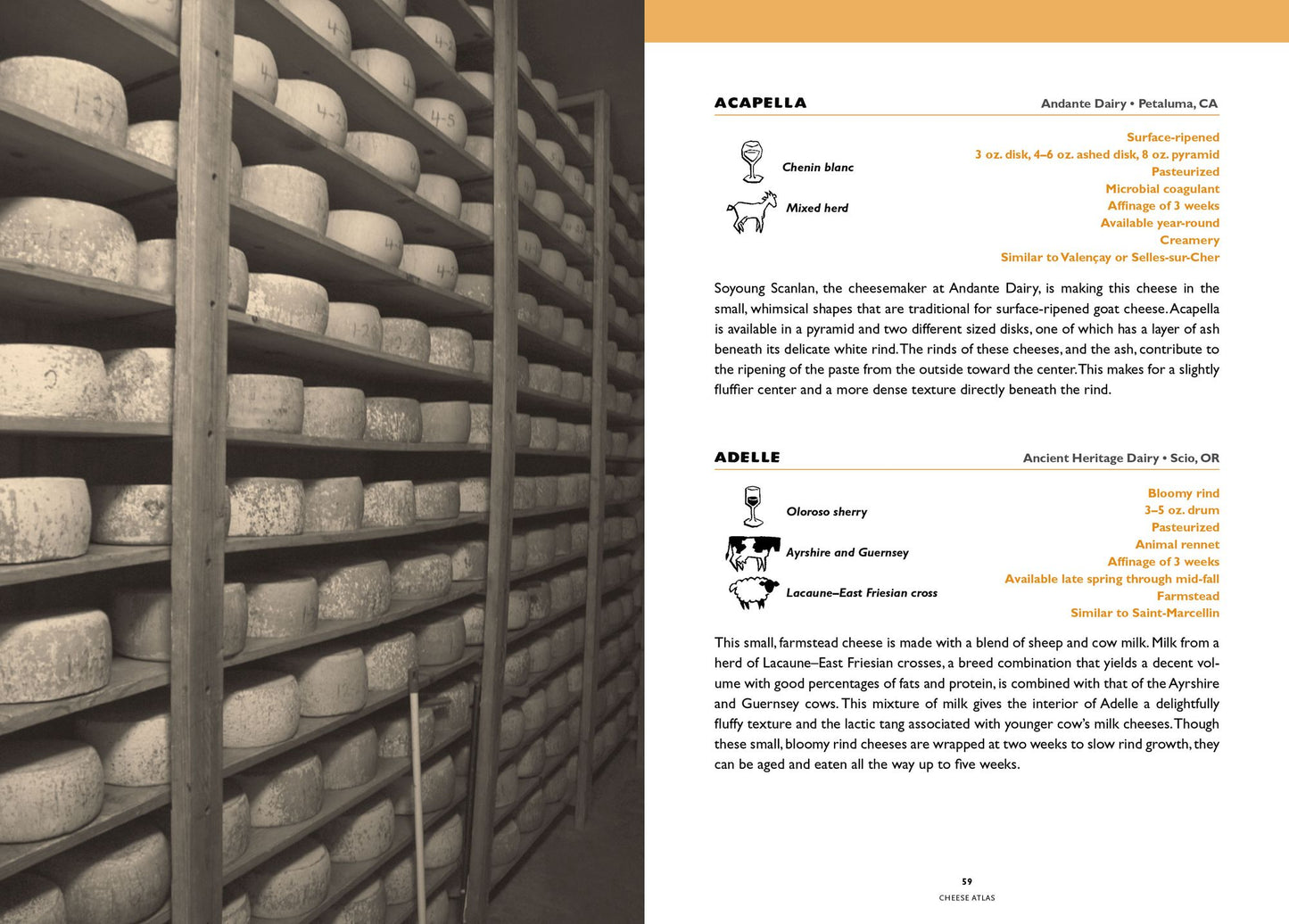 Guide to West Coast Cheese: More than 300 Cheeses Handcrafted in California, Oregon, and Washington