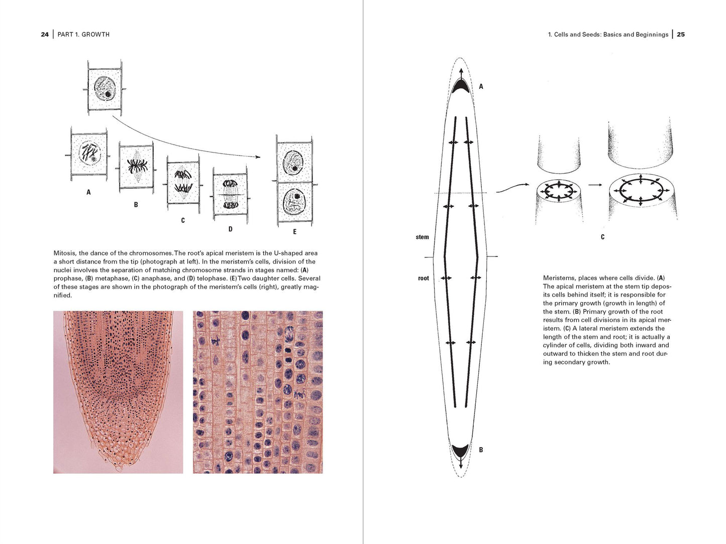 Botany for Gardeners