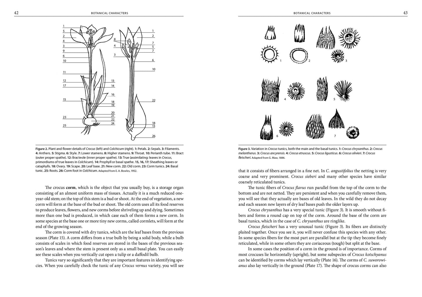 Crocuses: A Complete Guide to the Genus
