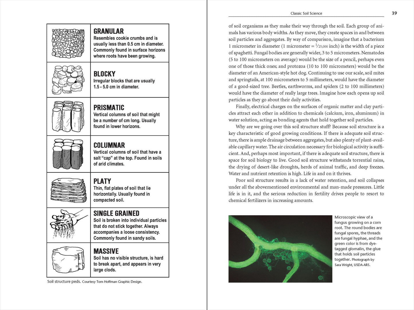 Teaming with Microbes: The Organic Gardener's Guide to the Soil Food Web, Revised Edition