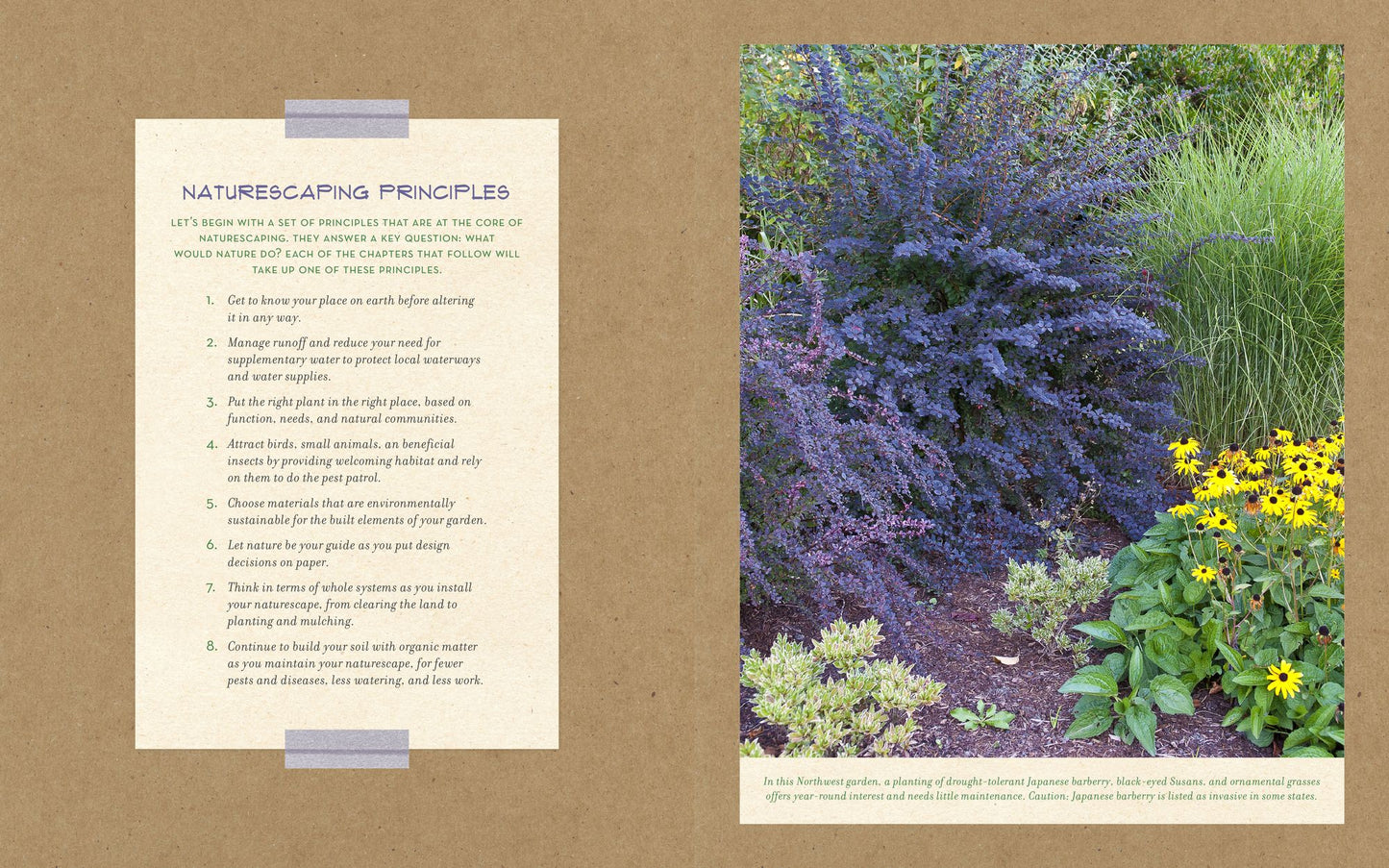 The Naturescaping Workbook: A Step-by-Step Guide for Bringing Nature to Your Backyard