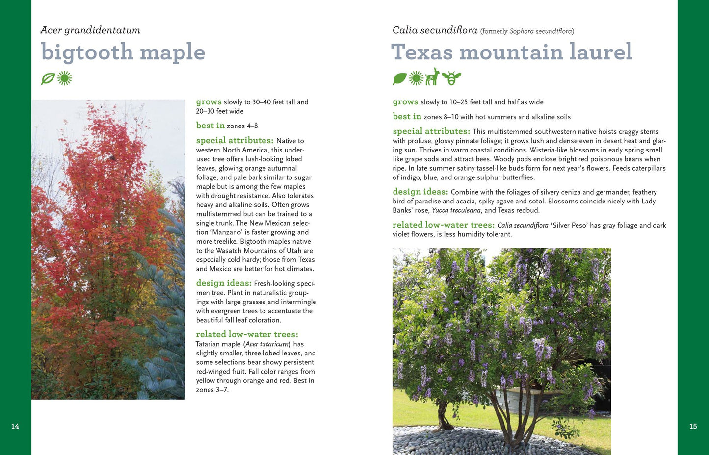 Waterwise Plants for Sustainable Gardens: 200 Drought-Tolerant Choices for all Climates