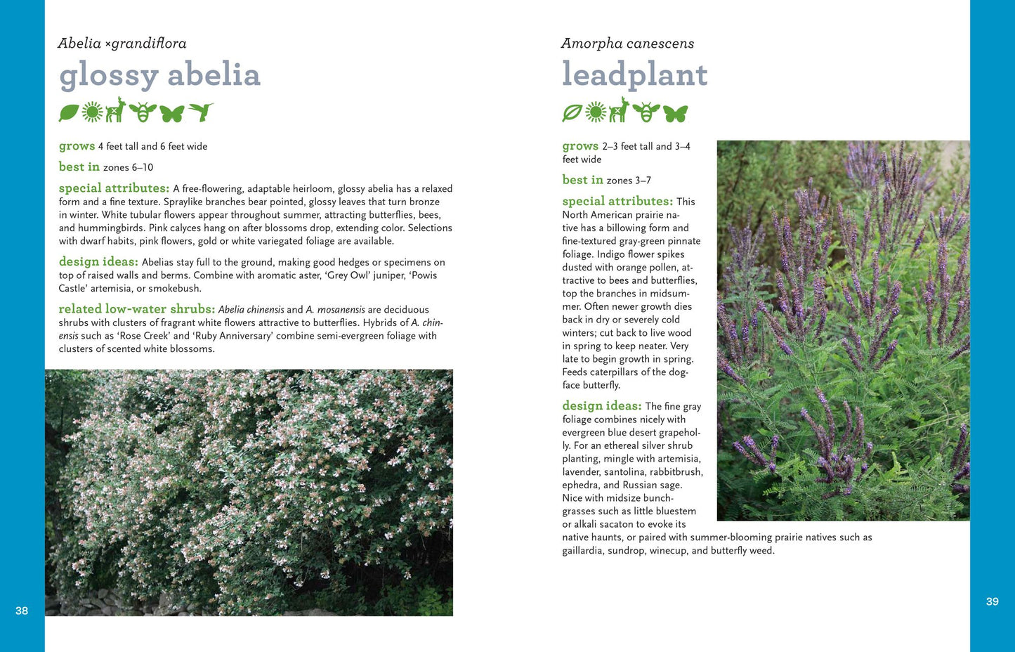 Waterwise Plants for Sustainable Gardens: 200 Drought-Tolerant Choices for all Climates