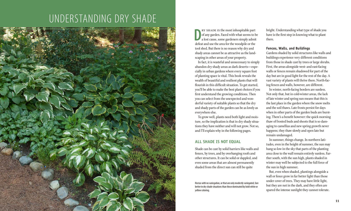 Planting the Dry Shade Garden: The Best Plants for the Toughest Spot in Your Garden